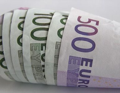 Miniatura: Coraz więcej Czechów nie chce euro
