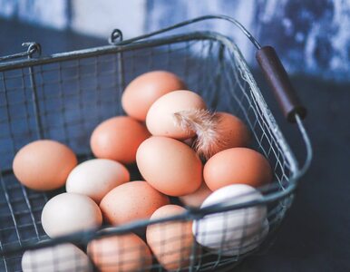 Jak przechowywać jajka? Ten błąd popełnia wiele osób