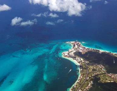 Miniatura: Odkryto szkielet potomka pierwszych ludzi...