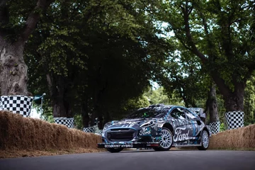 Ford Puma Rally1 WRC 