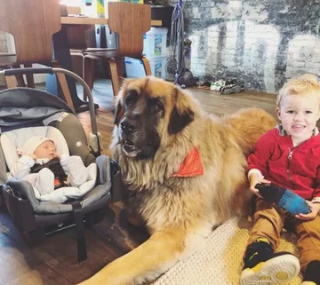 Lamont i jego przyjaciele 