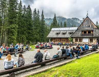 Miniatura: W Tatrach sypią się mandaty. Turyści nie...