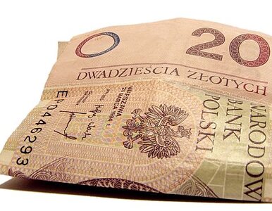Miniatura: Polaków nie stać na kredyty hipoteczne