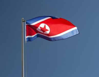 Miniatura: Korea Północna wystrzeliła rakietę...
