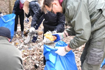 Akcja resortu środowiska 