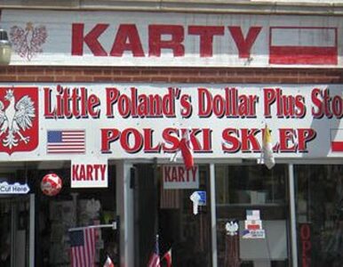 Miniatura: Polonia już wybrała