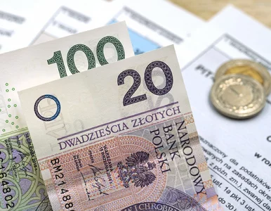 Miniatura: Ulga 4 plus. Ile wynosi ulga dla rodzin...