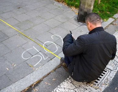 Miniatura: Nowe informacje o nożowniku z Poznania....