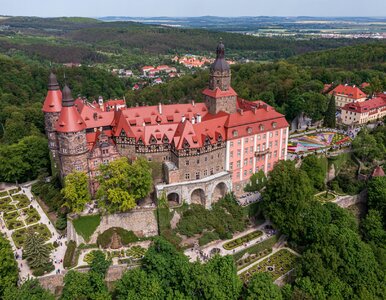 Miniatura: Błyszcząca odznaka leżała pod stertą...