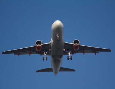 Miniatura: Malezyjska opozycja o boeingu: Rząd wie...