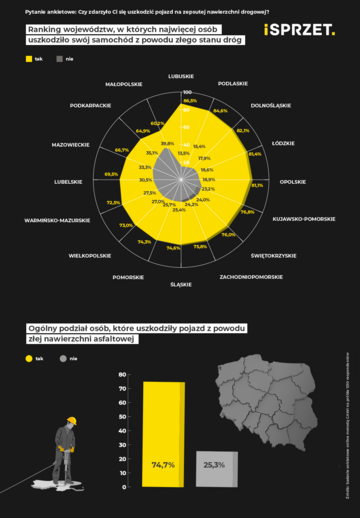 Jak Polacy oceniają polskie drogi?