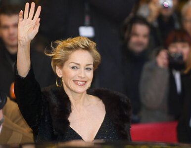 Miniatura: Sharon Stone zagra pierwszą wiceprezydent...