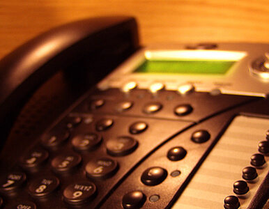 Miniatura: Bułgaria: telefoniczni oszuści dobrali się...