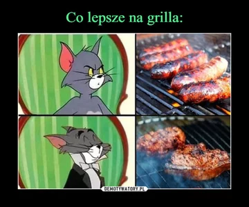 Memy na majówkę 