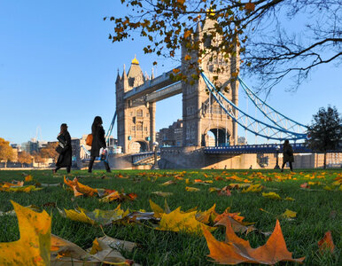 Miniatura: Nie tylko Paryż i Londyn. Te miasta...
