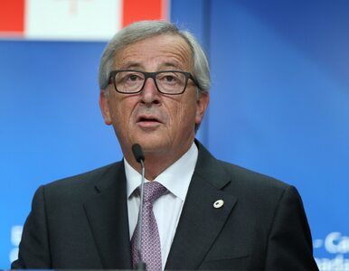 Miniatura: UE nie może nałożyć na Polskę sankcji?...