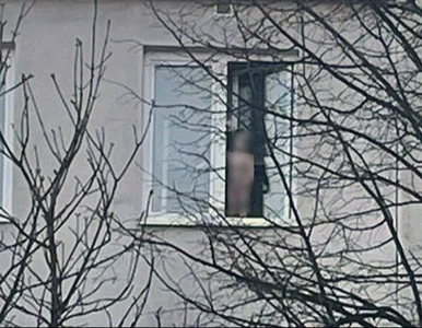 Miniatura: Chwile grozy na osiedlu w Kraśniku. Małe...