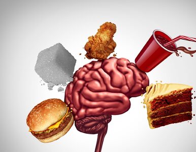 Jak nieprawidłowy poziom cholesterolu niszczy nasz mózg? Nowe odkrycie