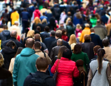 Miniatura: Raport "Wprost": Poprawność polityczna...