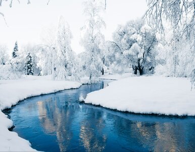 Miniatura: Zimowy QUIZ z wiedzy ogólnej. Wykażesz się...
