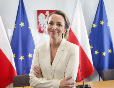 Miniatura: Awantura na komisji sejmowej. Poseł PiS...
