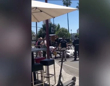 Miniatura: Koń padł z wycieńczenia w centrum miasta....