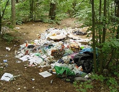 Miniatura: Nie radzimy sobie z odpadami. UE nas ukarze?