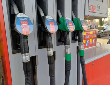 Miniatura: Dlaczego diesel podrożał bardziej niż...