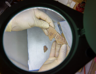 Miniatura: Na naczyniu sprzed 3100 lat odkryto...