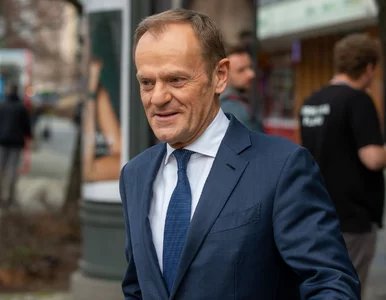 Miniatura: Donald Tusk wrócił do Polski po „stu...