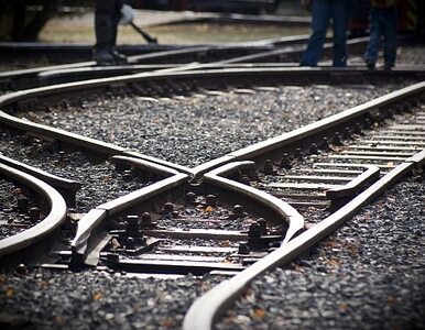 Miniatura: Bułgarskie związki odwołały strajk na kolei