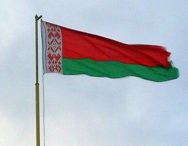 Miniatura: Białoruś: opozycja zebrała pieniądze dla...