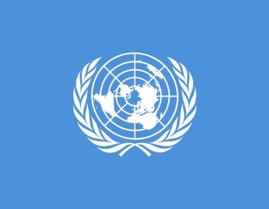 Miniatura: Żołnierze sił pokojowych ONZ pojmani przez...