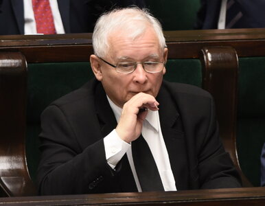 Miniatura: Kaczyński: „Solidarność” piłuje gałąź, na...