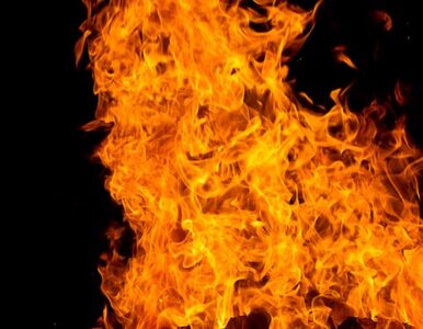 Miniatura: Matka i dwoje dzieci zginęli w pożarze