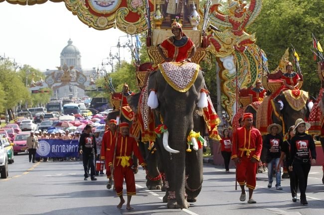 W Tajlandii w pochodzie 1-majowym wzięły udział... słonie (fot. EPA/RUNGROJ YONGRIT/PAP)