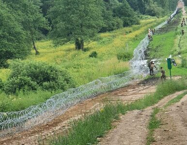 Miniatura: Episkopat apeluje ws. migrantów....