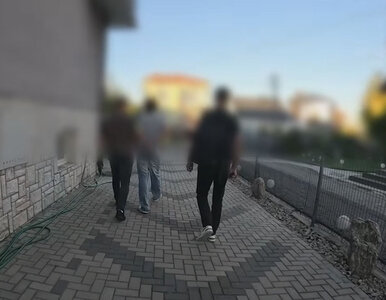 Miniatura: Planował zamach terrorystyczny na...