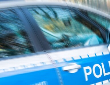 Miniatura: Makabryczne odkrycie w potoku. Na miejsce...