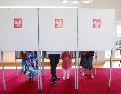 Miniatura: Incydenty podczas wyborów do PE. PKW...