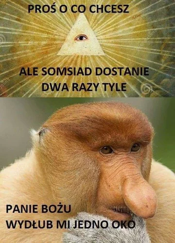 Mem z nosaczem sundajskim 