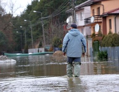 Miniatura: Południe Polski walczy z wodą. Deszcz nie...