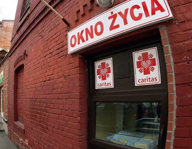 Miniatura: Kolejny niemowlak w oknie życia....