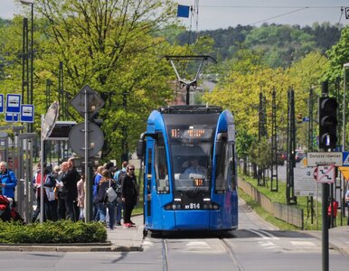Miniatura: Nowy zakaz w polskim mieście. Turyści...