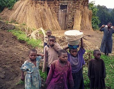 Miniatura: Gospodarka Rwandy lepsza od polskiej