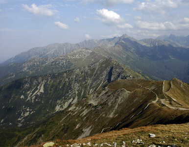 Miniatura: Śmiertelny wypadek w Tatrach. Nie żyje...