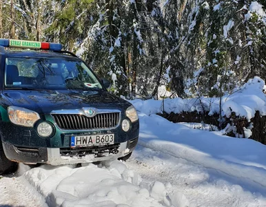 Miniatura: Granica polsko-białoruska. Śnieg nie...
