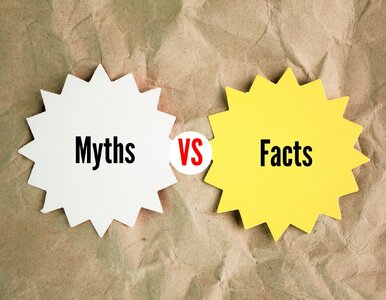 Miniatura: QUIZ. Co jest prawdą, a co fałszem? 8/10...