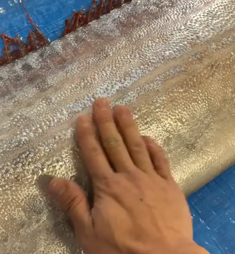 Skóra ryb zostawia na dłoni srebrny ślad 