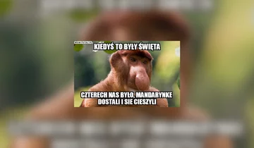 Świąteteczne memy 